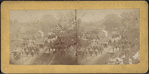 Firemen's Review, Walden, Orange Co., N.Y.
