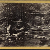 View from Indian Fall, looking down the stream.