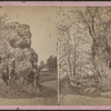 Pulpit Rock, Warwick, N.Y.
