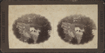 Hudson River [Foote, Grant & Co. Wholesale Grocers].