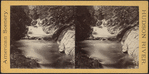 Idlewild. [View.]