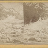 Kimber's Gulch, near Unionville, Orange County, N.Y. (from below the New Jersey Midland R.R.)