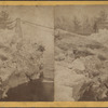 Ice views in the Delaware River, Port Jarvis, N.Y. after the Flood, March 17th, 1875.