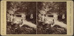 Idlewild.