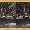 Wodenthe, Residence of H.W. Sargent, Fishkill-on-Hudson, Arucaria Garden.