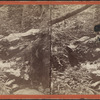 Hanging Stone or Natural Bridge in Ravine, near Brandon House, Greenwood Lake.