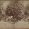 Meadow Avenue, Orange Co., N.Y.