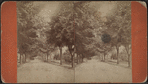Meadow Avenue, Orange Co., N.Y.