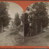 Wine Celler, Pleasant Valley, N.Y.
