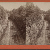 Hudson River R.R.