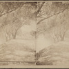 Scene on the Hudson River, New York.