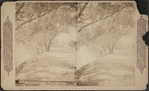 Scene on the Hudson River, New York.