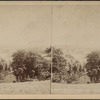 View near Hudson River.