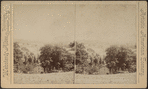 View near Hudson River.