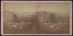 The back street from West Hills, Wells Hamilton Creeks, N.Y.