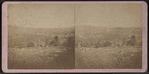 Pickleville and M.E. Church from West Hills, Wells, Hamilton Co., N.Y.