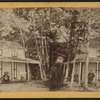 View of a cottage in St. Lawrence Co., N.Y.