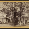 View of a cottage in St. Lawrence Co., N.Y.