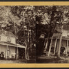 View of a cottage in St. Lawrence Co., N.Y.