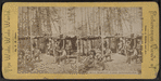 Deer Hunters' Camp, Adirondacks.