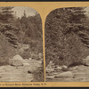 View on Bouquet River, Elizabeth Valley, N.Y. Adirondack Region.