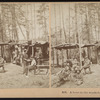 A Home in the woods for me, Adirondacks.