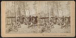 A Home in the woods for me, Adirondacks.