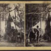 View of Webber Camp, with deer.