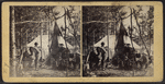View of Webber Camp, with deer.
