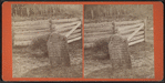 John Brown's Grave at North Elba, N.Y.