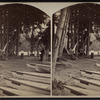 The Crouquet Grounds.