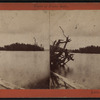 Little Pine Island.