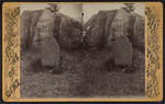 John Brown's Grave.