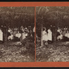 Group eating at table under trees.