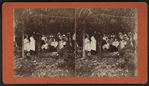 Group eating at table under trees.