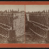 Bridge under construction.