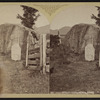 John Brown's Grave, North Elba.