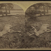 At Raquette Lake, September, 1879.