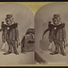 Affable Adirondacks Agent, 1880.