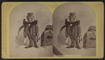 Affable Adirondacks Agent, 1880.