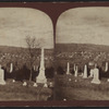 Homer Village, N.Y.