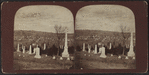 Homer Village, N.Y.