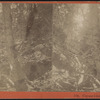 Cayuta Glen.