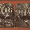 Flower Garden.