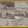 O. D. Hammond and a Bible class from Pres. church, Cuba, N.Y., Rushford Gorge.