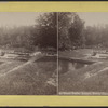Trout Ponds, Annin's Grove, Caledonia, N.Y.