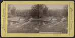 Trout Ponds, Annin's Grove, Caledonia, N.Y.