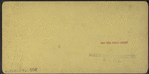 Rustic Walk, Annin's Grove, Caledonia, N.Y.