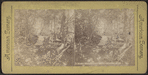 Rustic Walk, Annin's Grove, Caledonia, N.Y.