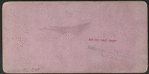 Main Street, West, Le Roy, N.Y.